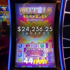 Descubra o Mundo do Cassino Online com 44mm